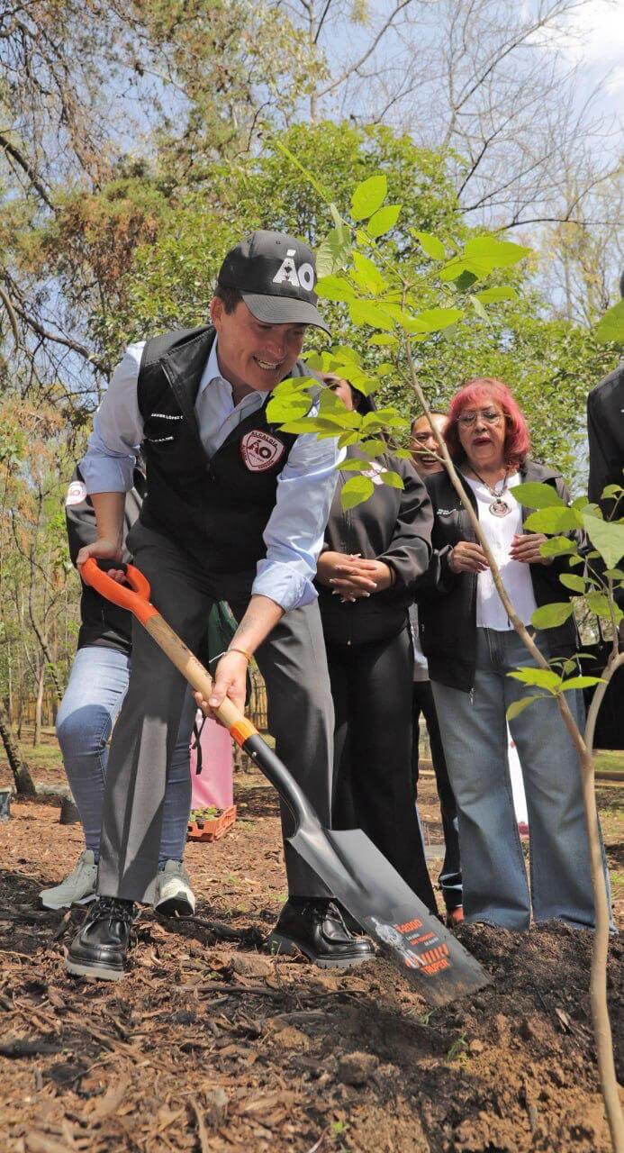 Noticias Álvaro Obregón