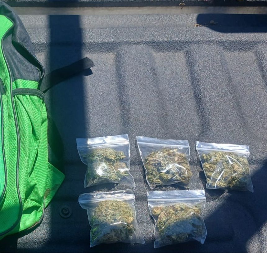 Noticias Álvaro Obregón