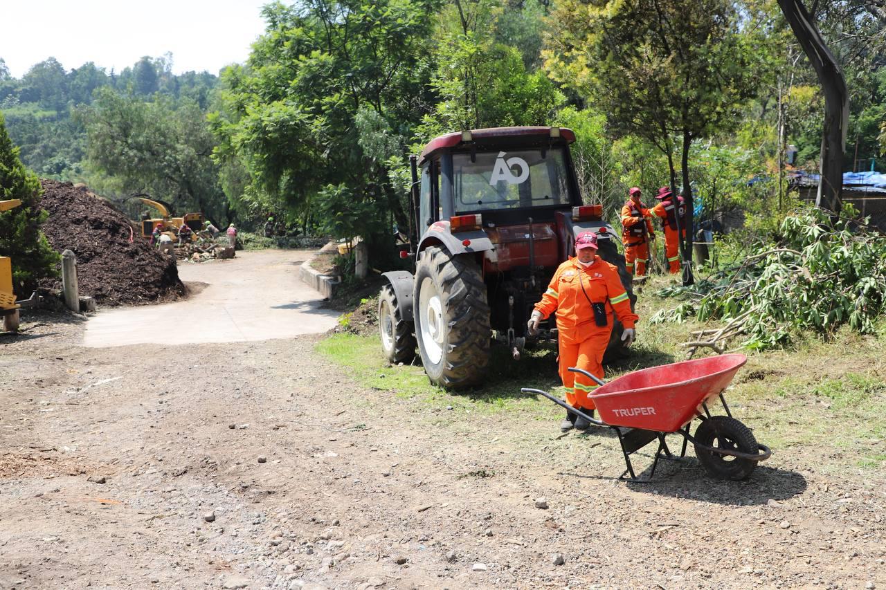 Noticias Álvaro Obregón