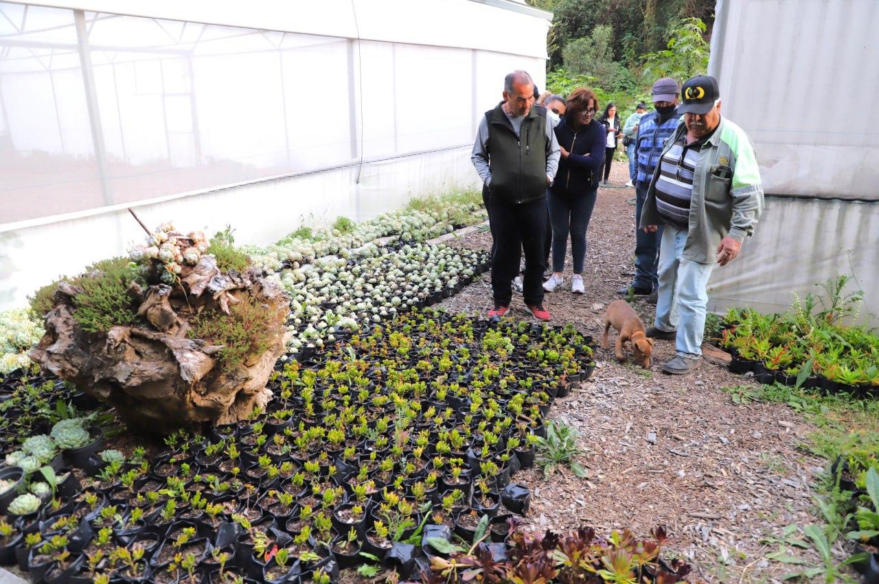 Noticias Álvaro Obregón