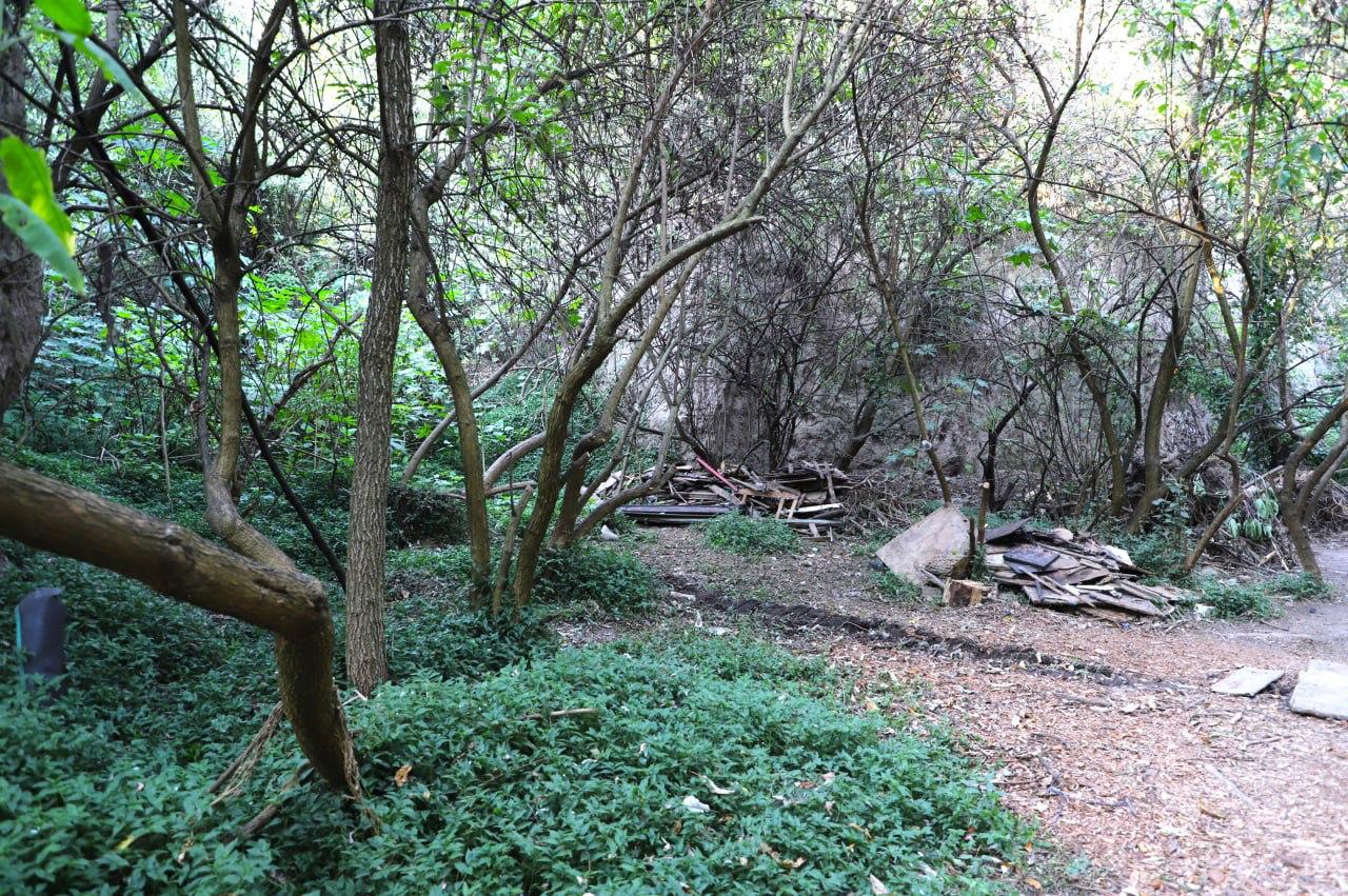 Noticias Álvaro Obregón