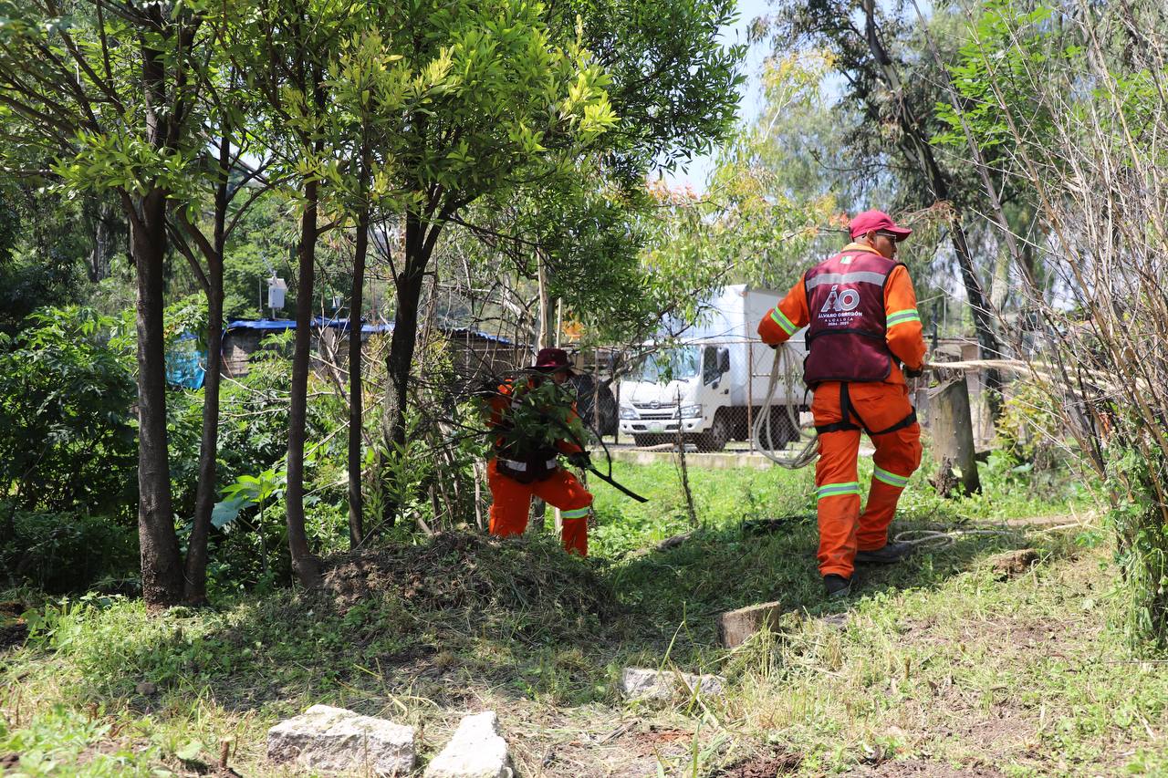 Noticias Álvaro Obregón