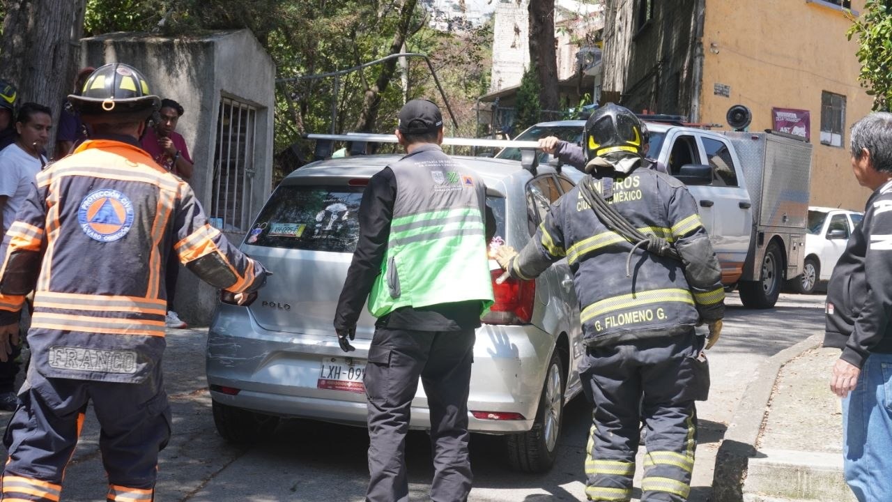 Noticias Álvaro Obregón